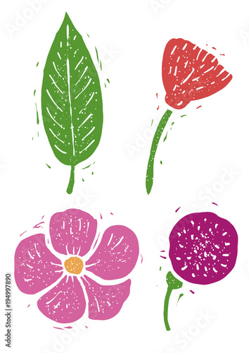 Flower, leaf linocut linocut illustration, draw, ink, vector