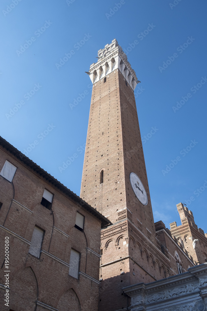 Fototapeta premium Siena, Italy: Piazza del Campo