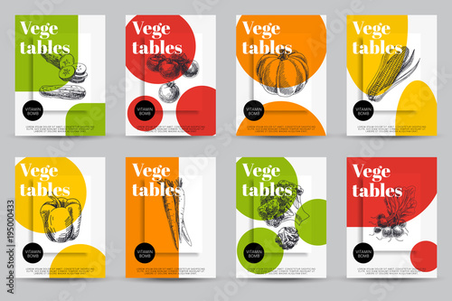 Beautiful vector hand drawn vegetables card set.
