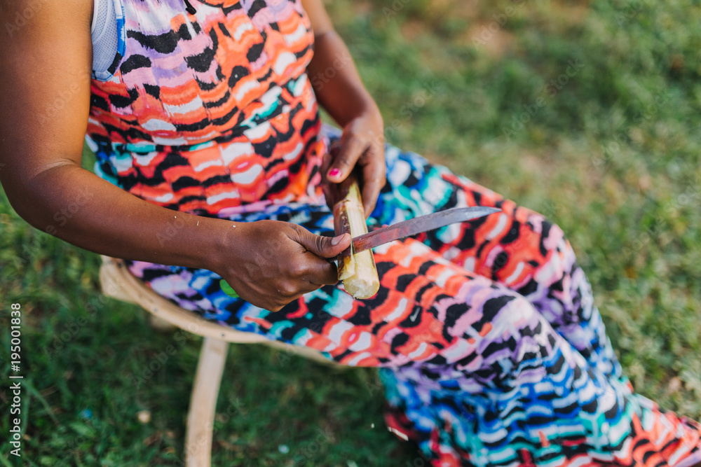 woman cutting a sugar cane in Uganda, Africa woman cutting a sugar cane in Uganda, Africa