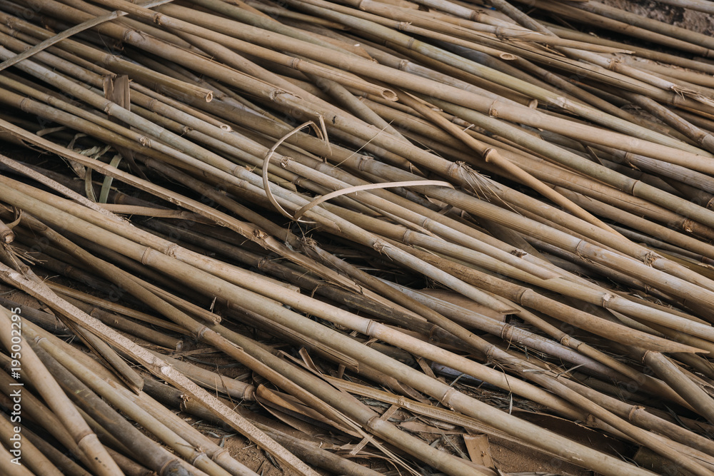 dry bamboo dry bamboo