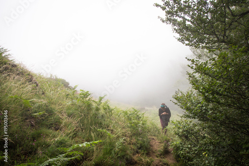 Woman  in green Forest in fog