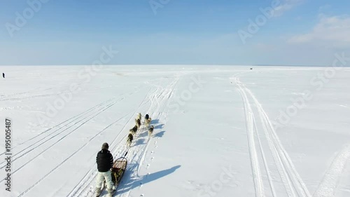 Aerial: Training sled dogs on a frozen bay in winter