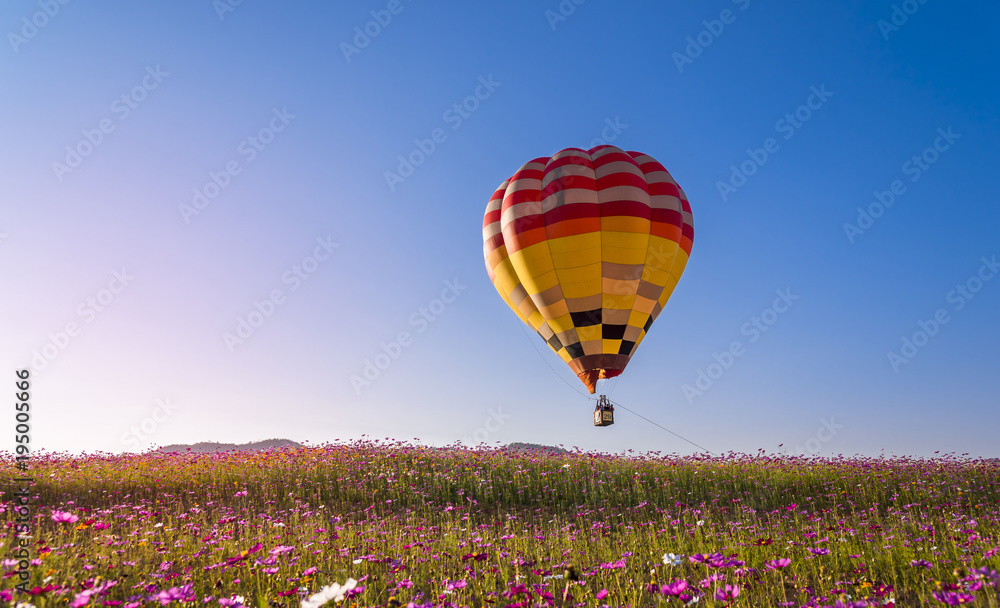 Fototapeta premium colorful hot air balloon flying on beautyful cosmos field 