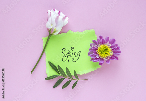 Pink-white flower with word SPRING on pink pastel background. Valentine Day, Mothers day, birthday, spring concept. Minimalistic floral background in flat lay style, top view. © Xenia800
