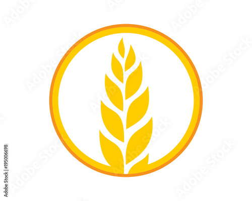 circle yellow paddy wheat barley plant harvest agriculture image vector