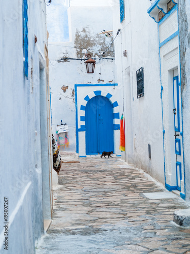 hammamet-tunisia-alleys of the old city streets white walls arabic doors © Emanuele Capoferri