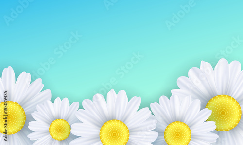 Seasonal background. Camomiles flowers on a green background. Vector illustration