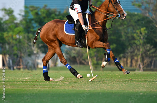Horse polo player use a mallet hit ball © Hola53