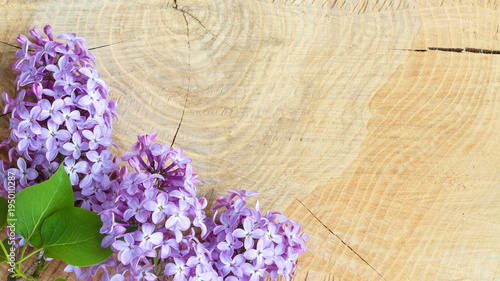 Beautiful lilac flowers on a wooden vintage board