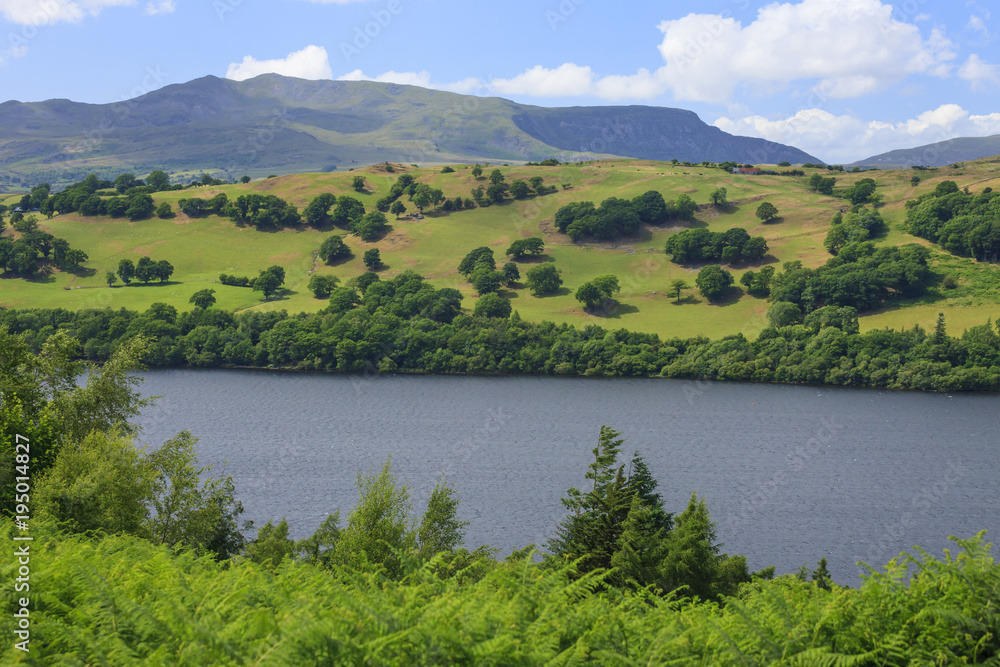 Llyn Tegid Lake Bala Gwynedd Wales