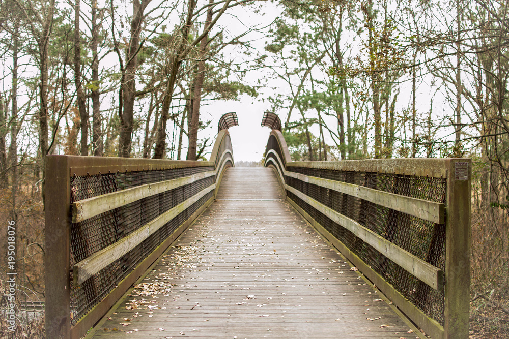 Obraz premium Wooden bridge in park