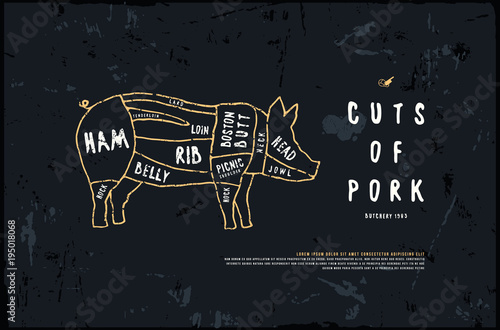 Stock vector pork cuts diagram