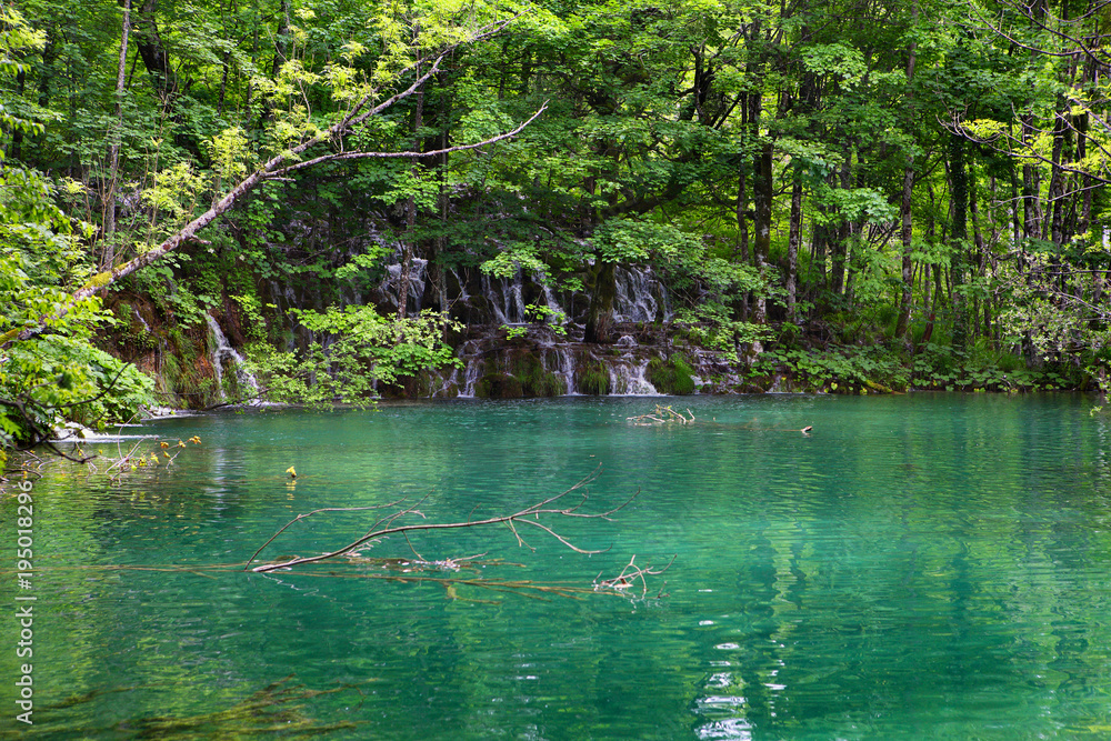 Φωτογραφία beautiful lake in forest of Plitvice Lakes National Park, Croatia