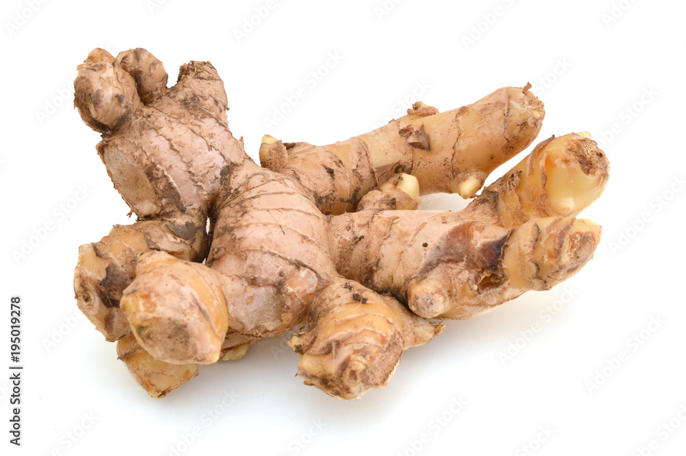 Gingers in flavoring cooking Gingers in flavoring cooking