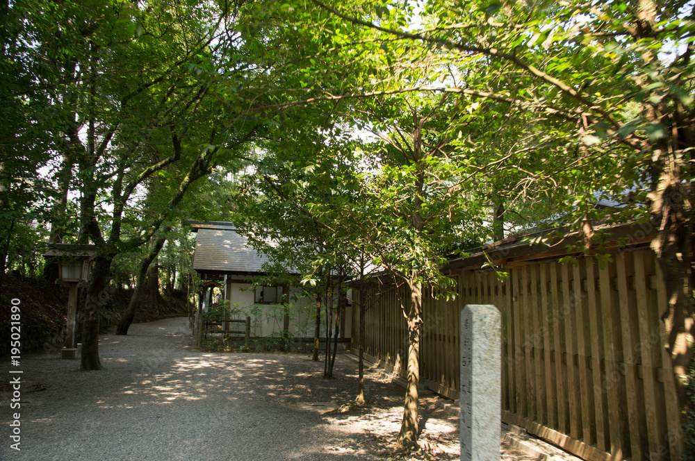 天岩戸神社　夏　宮崎