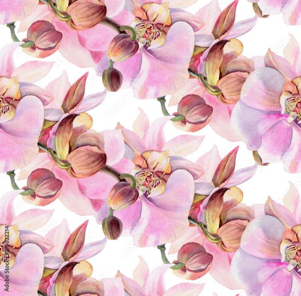 Watercolor flowers. Pink orchids