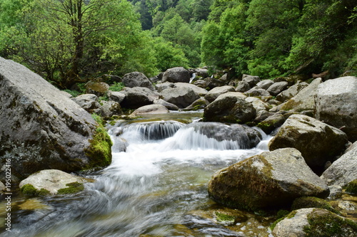 Fototapeta Naklejka Na Ścianę i Meble -  Water stream in a jungle