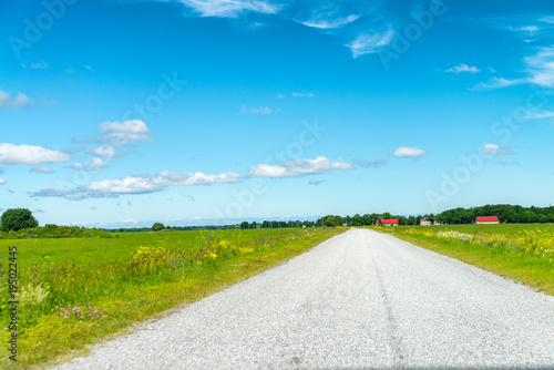 Road across beautiful countryside in summer season