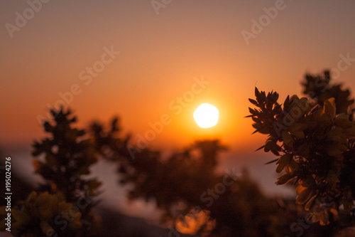 Sunrise at sea 