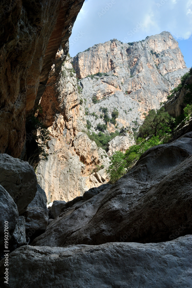 All'interno della gola di Gorropu