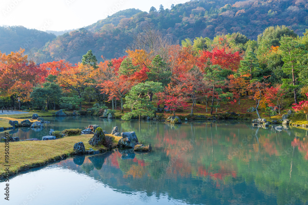秋 京都の紅葉 秋 京都の紅葉