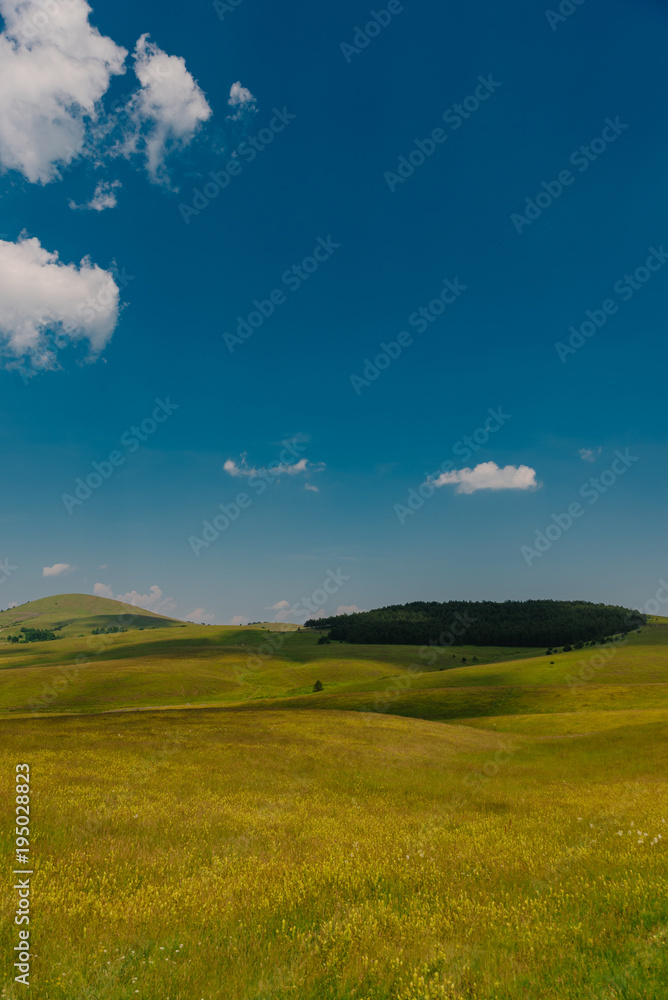 Obraz premium Mountain meadows in springtime