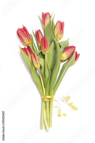 Red tulips bouquet on white background