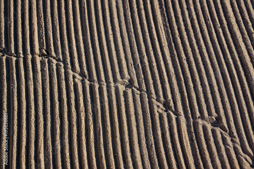 Cleaned by a tractor sand on the Mediterranean beach