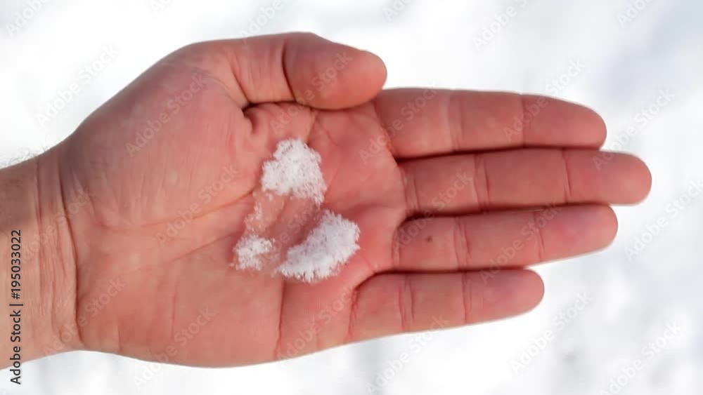Snow hear melting in palm Snow hear melting in palm