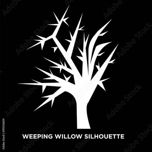 white weeping willow silhouette on black background