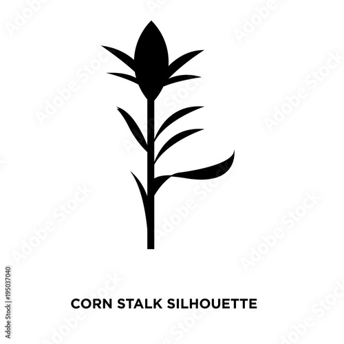 corn stalk silhouette on white background