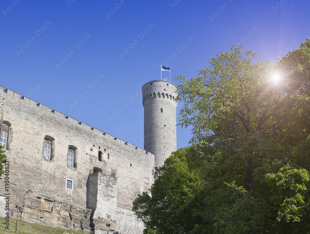 Tall Hermann tower .Tallinn, Estonia