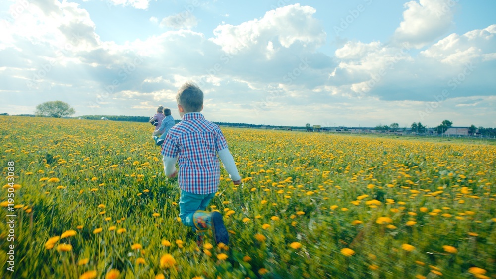 Three little boys running at the flowering field on summer holidays