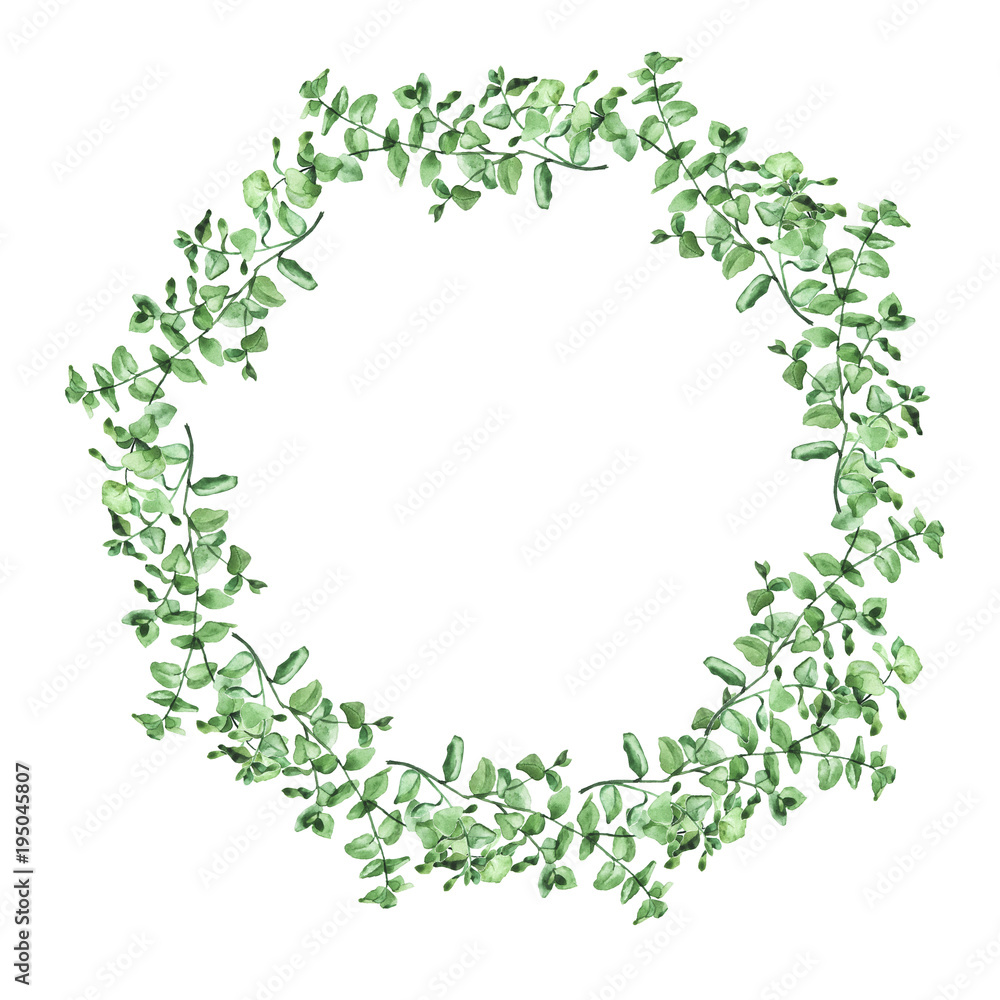 Green eucalypt garland isolated on white background. Hand drawn watercolor illustration. Green eucalypt garland isolated on white background. Hand drawn watercolor illustration.