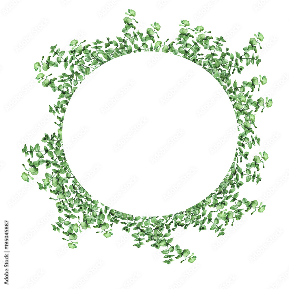 Fresh eucalypt garland isolated on white background. Hand drawn watercolor illustration. Fresh eucalypt garland isolated on white background. Hand drawn watercolor illustration.