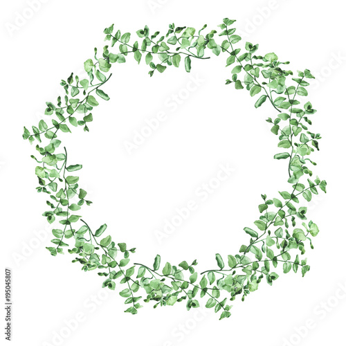 Green eucalypt garland isolated on white background. Hand drawn watercolor illustration.