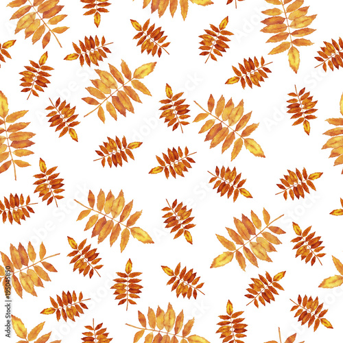 Seamless pattern with orange fall leaves on white background. Hand drawn watercolor illustration.