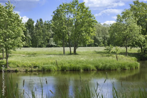 Beautiful summer landscape with trees on the river bank, a meadow and the wood on the horizon
