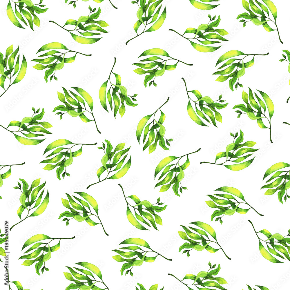 Seamless pattern with elegance spring green branches on white background. Hand drawn watercolor illustration. Seamless pattern with elegance spring green branches on white background. Hand drawn watercolor illustration.