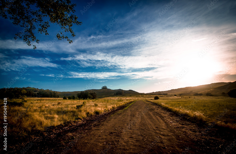 Road place landscape bluesky forest country discover explorer adventure tourist traveler clouds tree way think scape dirt green land