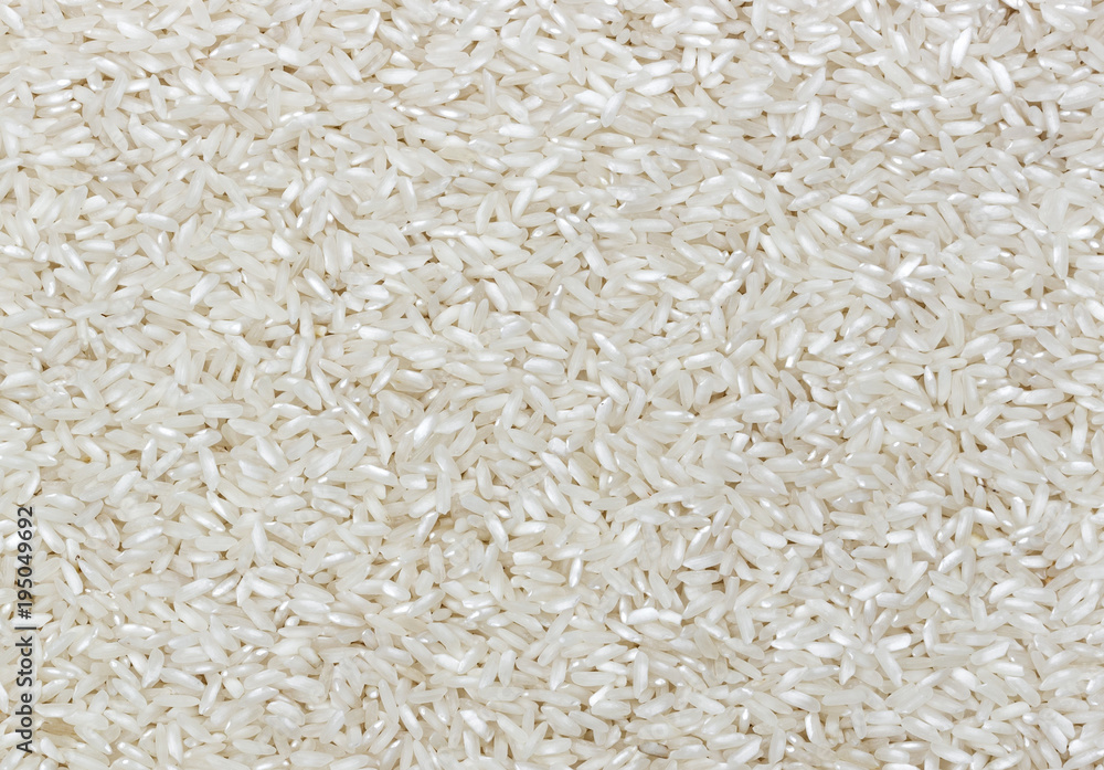 Polished rice grain texture Polished rice grain texture