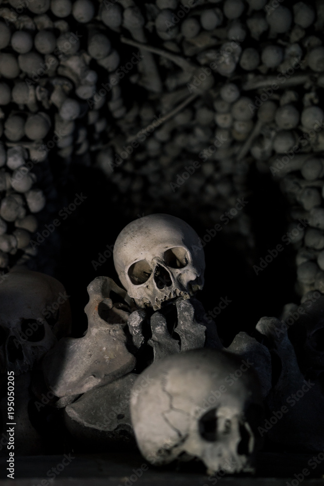 skull art skull art