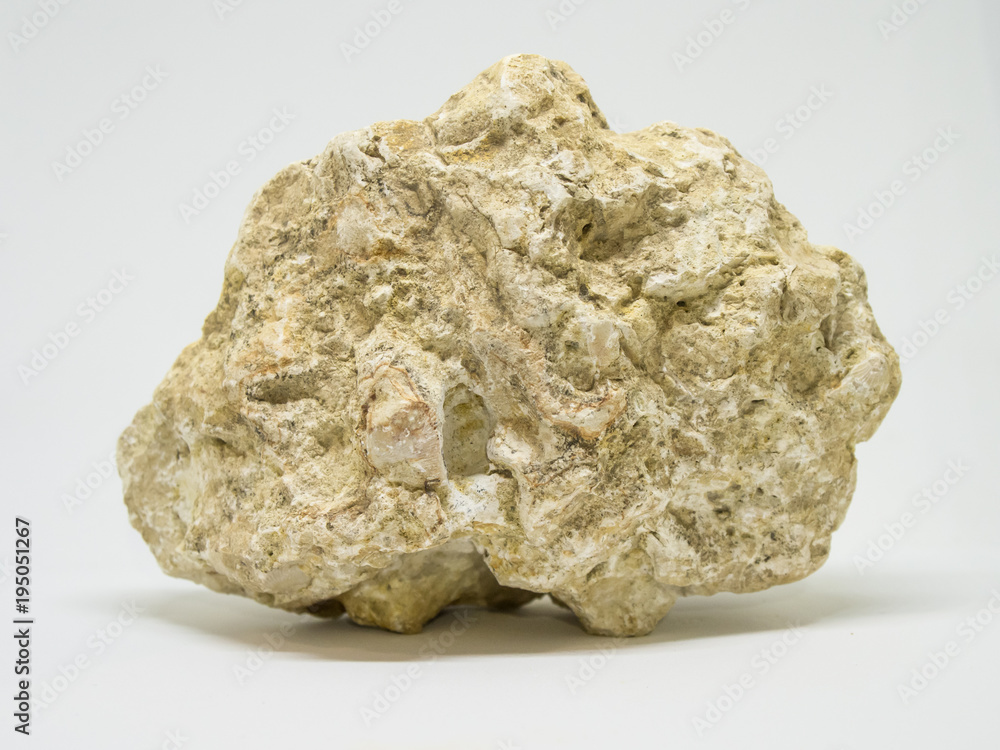 Fossilized sea shell imprints in the rock. Fossilized sea shell imprints in the rock.