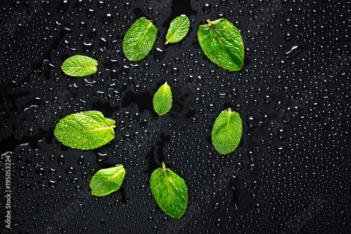 Spearmint on a black background with drops of water.