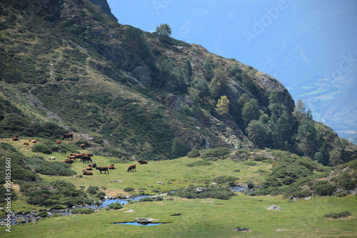 Parque Natural del Alto Pirineo