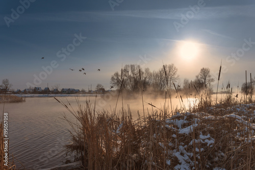 Winter sunset landscape. Flock of ducks  flying over snow-covered foggy river bank.