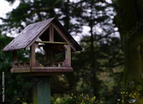 birdhouse © Michelle