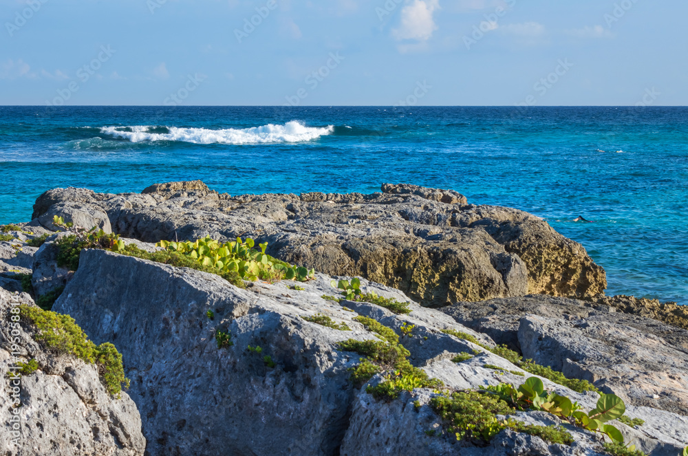 Rocky shore with turquoise blue sea water. Caribbean, Riviera Maya, Cancun, Mexico.