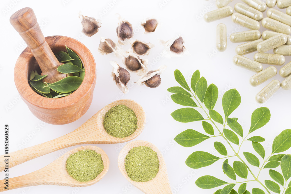 Seeds, leaves and moringa powder - Moringa oleifera Seeds, leaves and moringa powder - Moringa oleifera